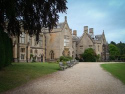 Into the Sherwood Forest, Newstead Abbey Wallpaper