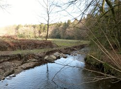 Southleigh Wallpaper