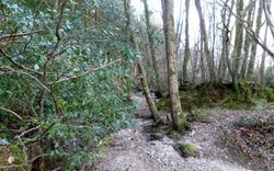 Southleigh Wallpaper