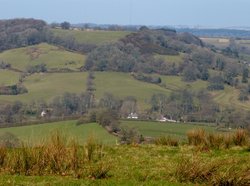 Putts Corner Wallpaper