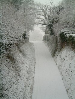 From the footbridge at Polesden Lacey