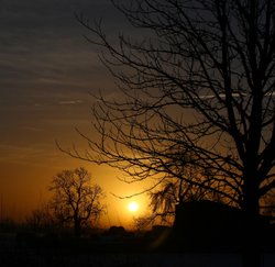 Farming near Market Bosworth Wallpaper