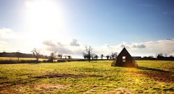 Ridge Lane Wallpaper