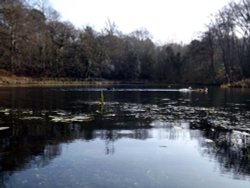 Keston Lakes,Keston Wallpaper