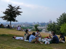 Breakfast on grass