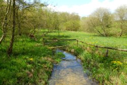 River Windrush Wallpaper