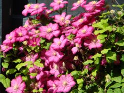 Deeping St James Wallpaper