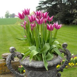 Upton House