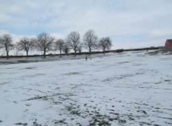 Irthlingborough Wallpaper