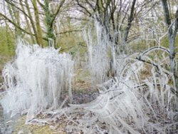 Roadside Art, naturally Wallpaper