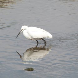 Milford on Sea Wallpaper