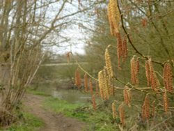 Just hanging around Wallpaper