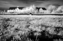 Mexborough Wallpaper