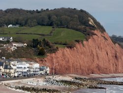 Sidmouth Wallpaper