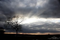 Atherstone Lanes Wallpaper