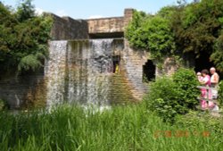 The grounds Wallpaper