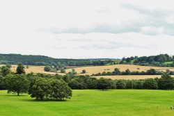 View From Ragley Hall Wallpaper