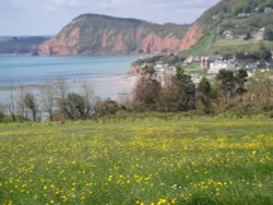 Exmouth coastal walk looking towards Sidmouth