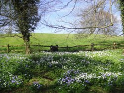 Leeds Castle Gardens, Maidstone
