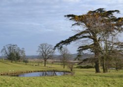 The Estate Wallpaper