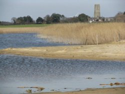 Covehithe Broad Wallpaper