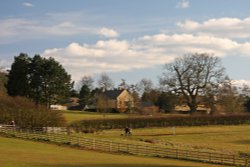 Edith Weston Wallpaper