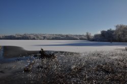 Daventry Country Park Wallpaper