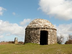 Wellington Wallpaper