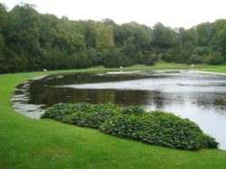 Studley Royal Water Gardens Wallpaper