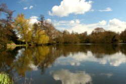 Belton House Wallpaper