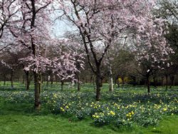 Spring at Hall Place, Bexley Wallpaper