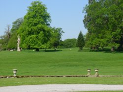 Sheep grazing at Constable Burton Hall Gardens Wallpaper