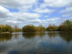 Ryton Pools Country Park, Warwickshire Wallpaper