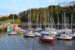Ilfracombe harbour Wallpaper