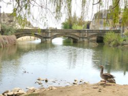 The River Welland in Stamford Wallpaper