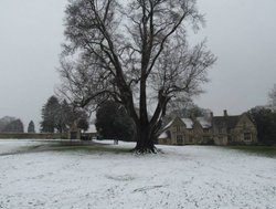 Rushden Hall Park Wallpaper