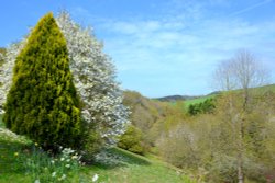 Marwood Hill Valley view Wallpaper