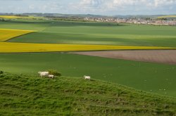 View from Maiden Castle towards Poudbury Wallpaper