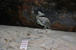 ONE TOO MANY PERHAPS? Wallpaper