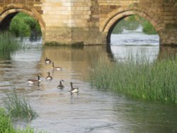 Irthlingborough Wallpaper