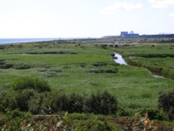Standing on Dunwich Heath Wallpaper