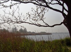 The Norfolk Broads - Horsey Wallpaper