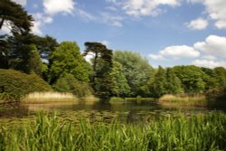 Arbury Hall gardens Wallpaper