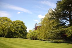 Arbury Hall gardens Wallpaper
