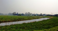 The Broads at Horsey Wallpaper