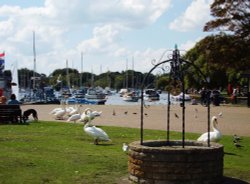 Christchurch Quay Wallpaper