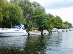 River Avon, Christchurch Wallpaper