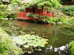 Japanese Garden, Compton Acres