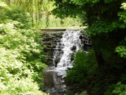 Sherborne Castle Wallpaper