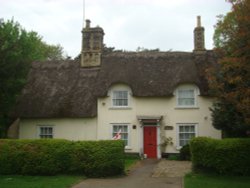 Cedar Cottage Wallpaper